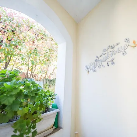 La Casetta Dei Fiori Vi3078 Nizza