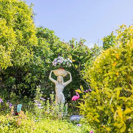 La Casetta Dei Fiori Vi3078 וילה