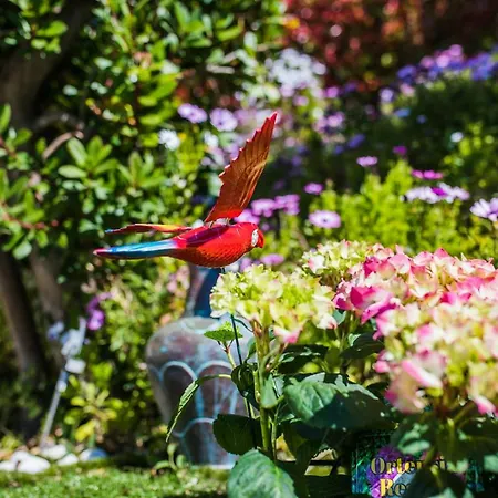 La Casetta Dei Fiori Vi3078 וילה *