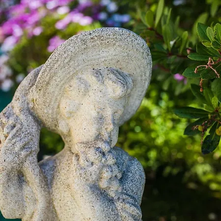 La Casetta Dei Fiori Vi3078 וילה *